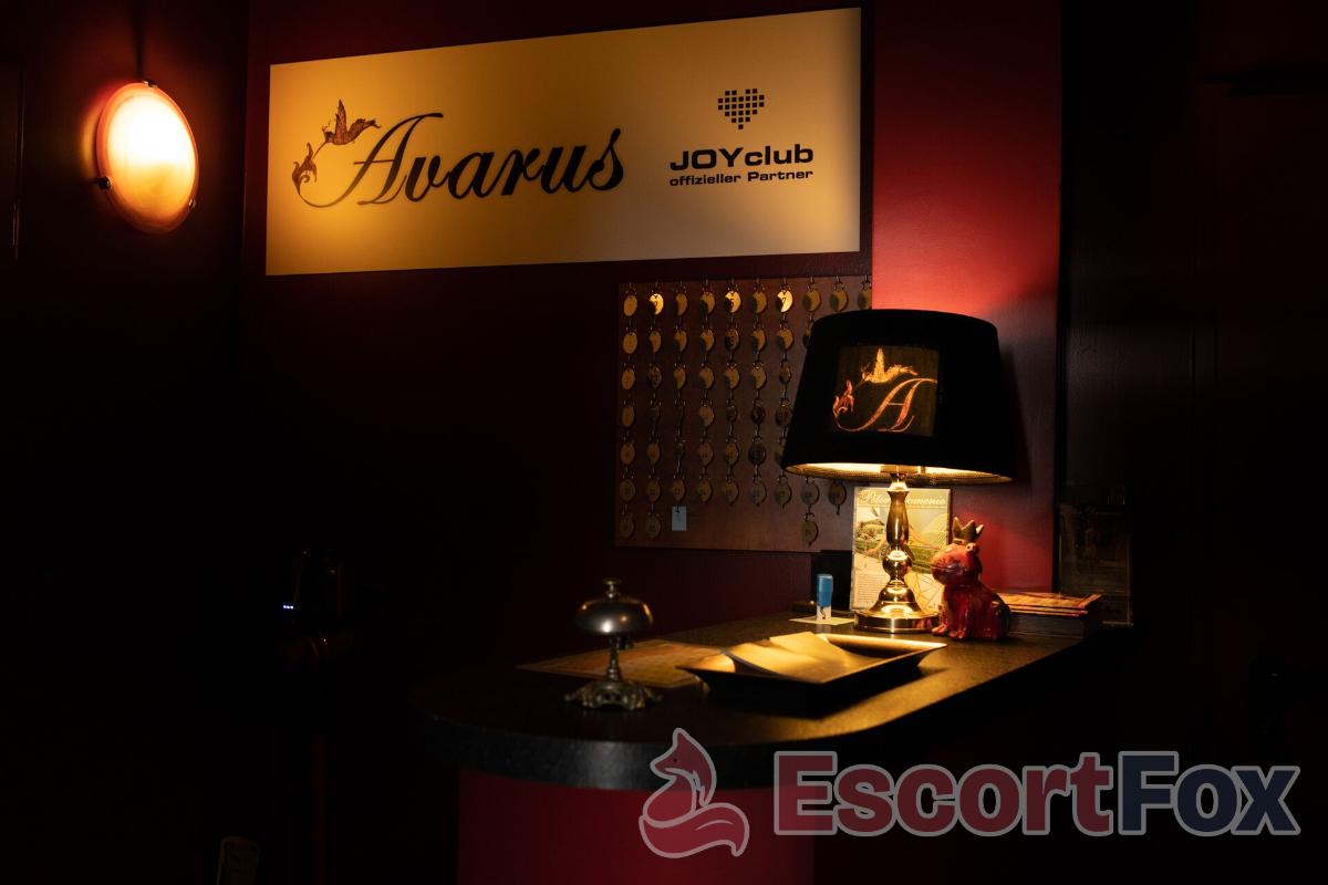 Avarus — erotic venue in Berlin