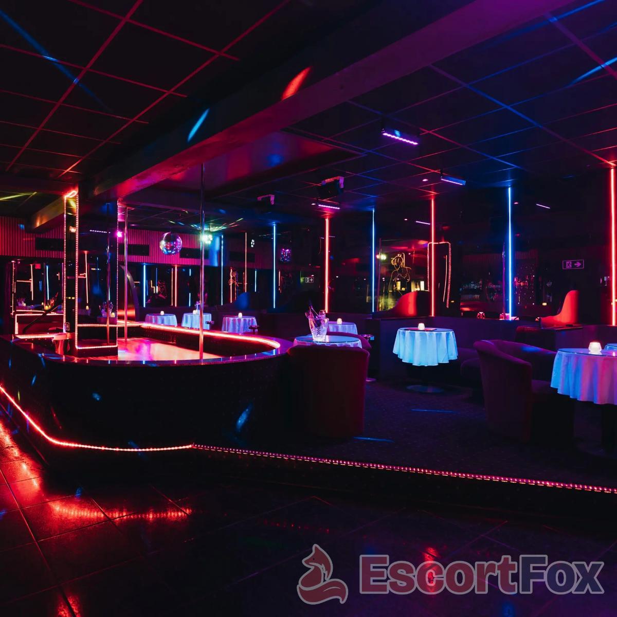 Amnesia Antwerp — erotický podnik v Antverpy