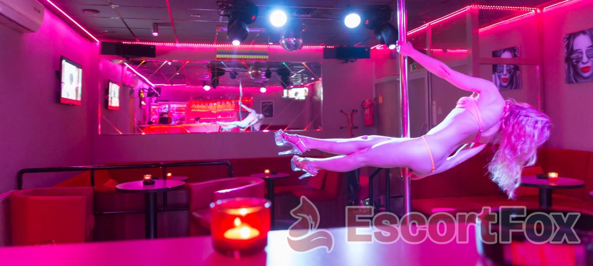 Night Club Piranha — erotic venue in Brno