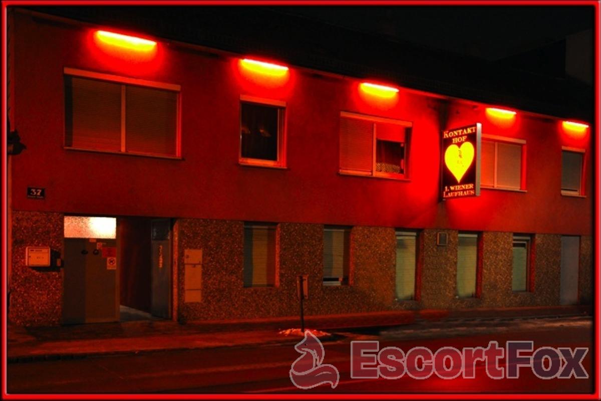 Kontakthof — ερωτικός χώρος στην πόλη Βιέννη