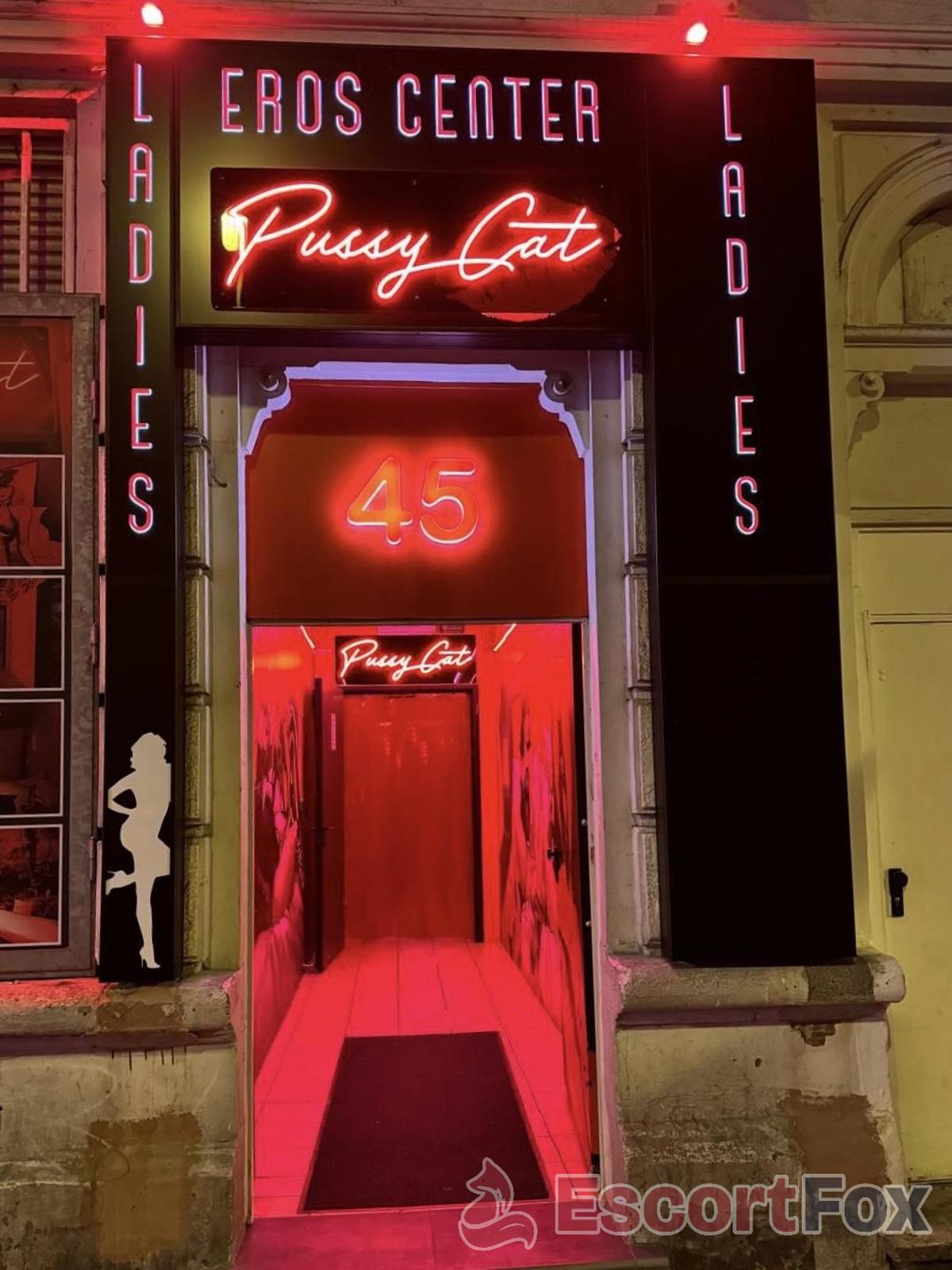 Pussycat — erotic venue in Frankfurt