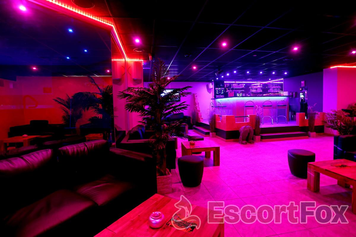 Pascha Basel — erotic venue in Basel