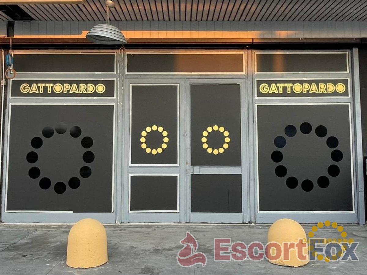 Gattopardo Club Privé — Erotik-Location in Brescia