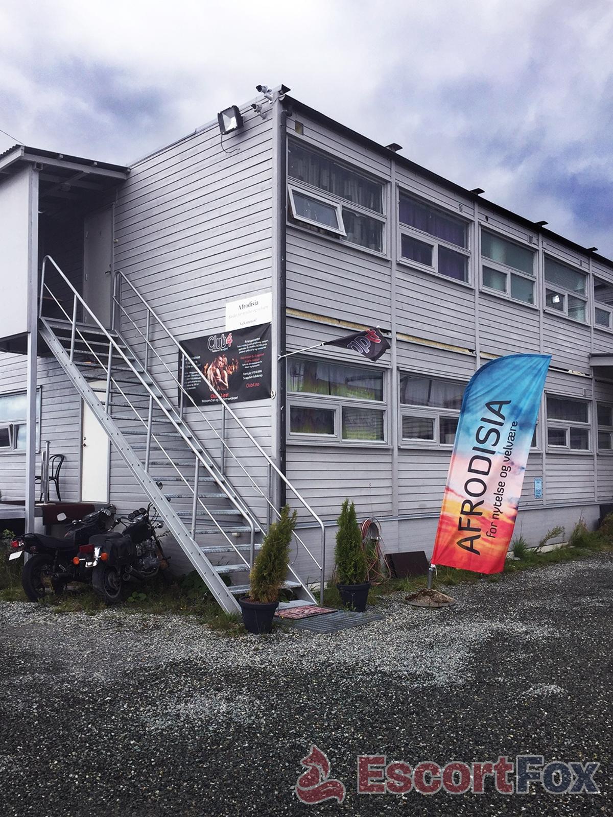 Club4 Afrodisia — erotic venue in Trondheim