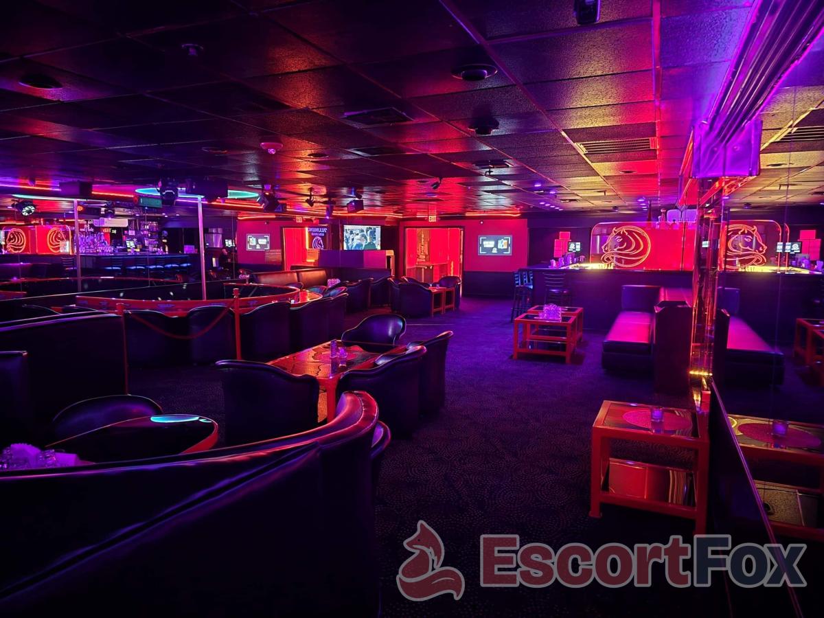 Palomino Club — erotický podnik v Las Vegas