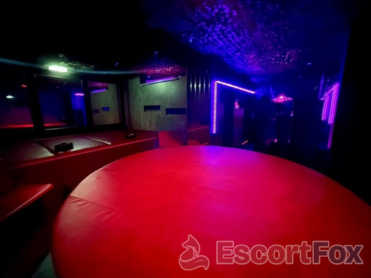 Cats 2.0 — erotic venue in Munich