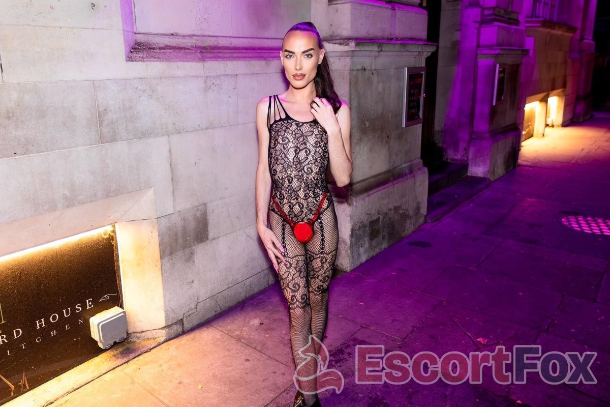 Princess Vic — escort in Boston
