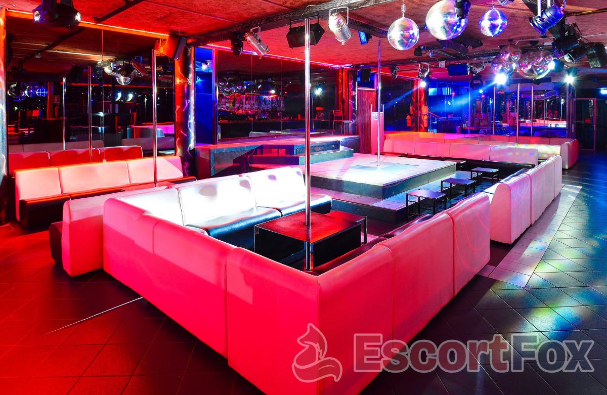 Wasabi Lap Dance — erotic venue in Cuneo