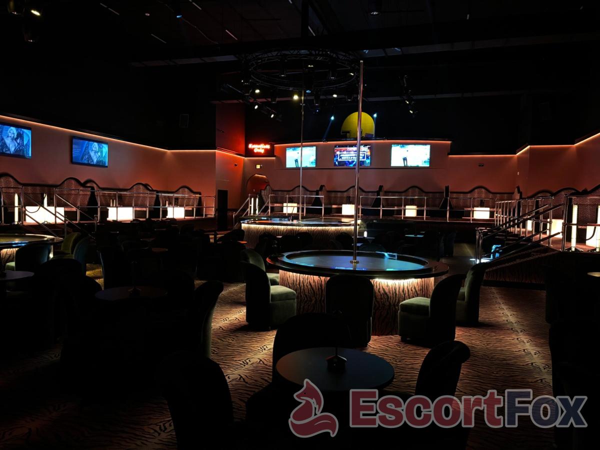 Cheetah Premier Gentlemen's Club — établissement érotique à Raleigh