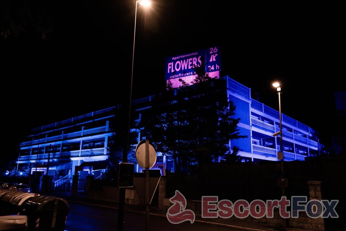 Sala Flowers — erotic venue in Las Rozas de Madrid