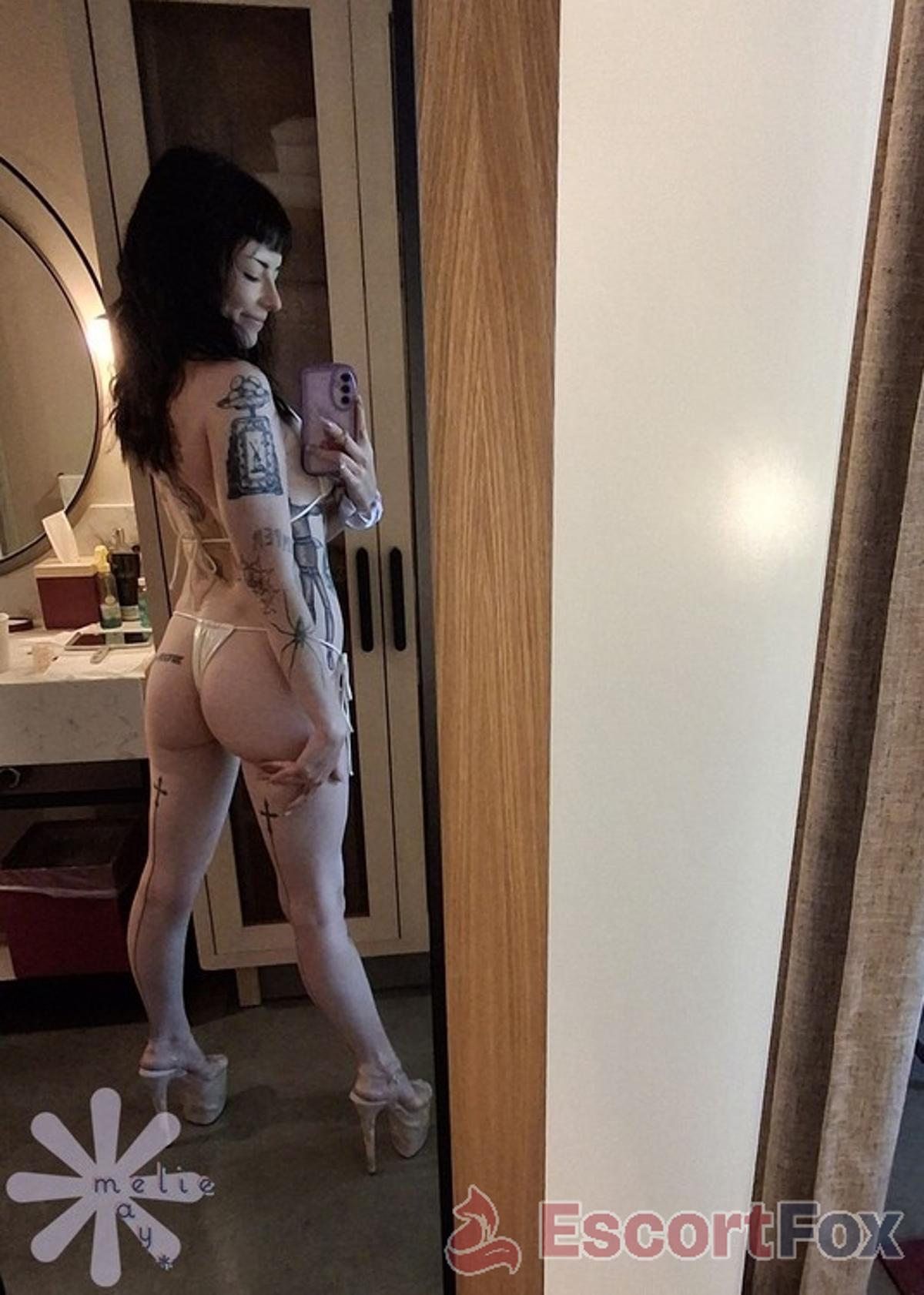 Meliehayes — Santa Clara 에스코트