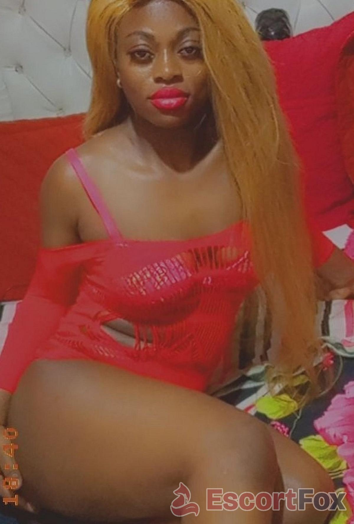 Amina — escort in Kuwait City