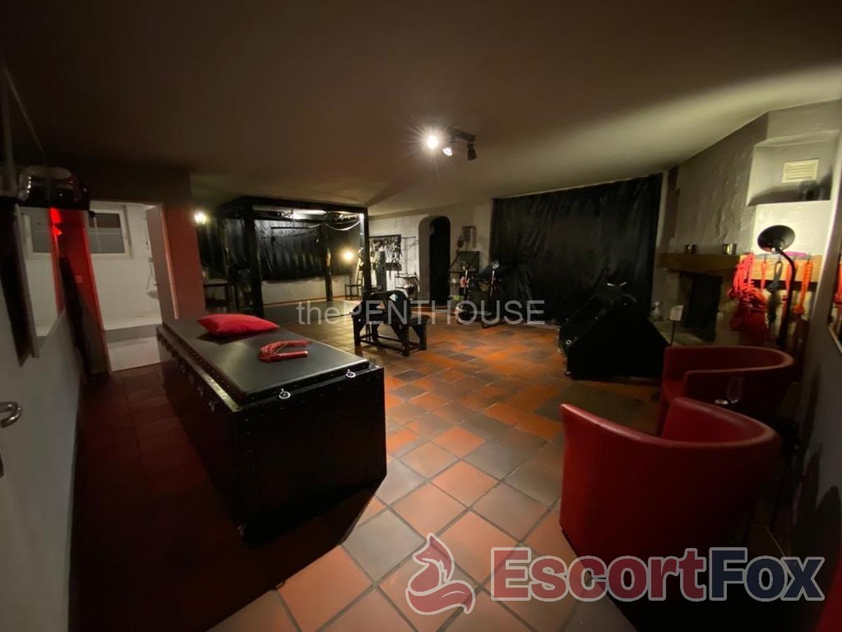 Thepenthouse — erotic venue in Zürich