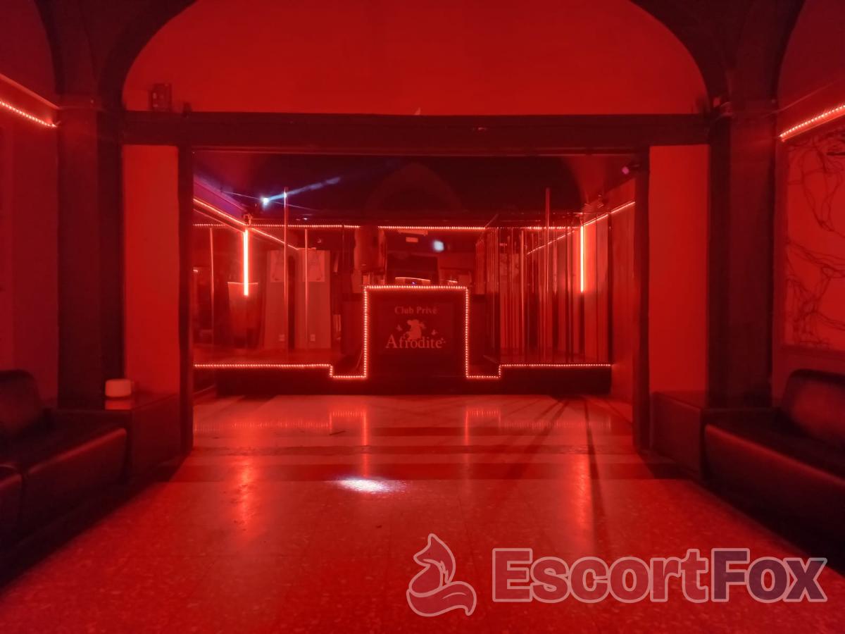 Afrodite Club Privè — erotic venue in Molfetta
