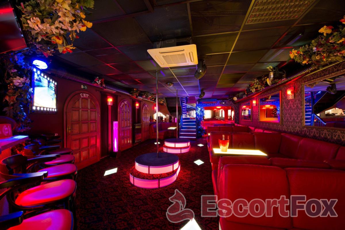 Club 101 — erotic venue in Brno