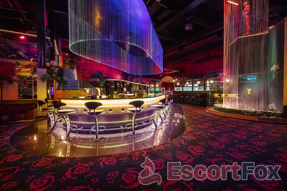 Fkk Sharks — erotic venue in Darmstadt