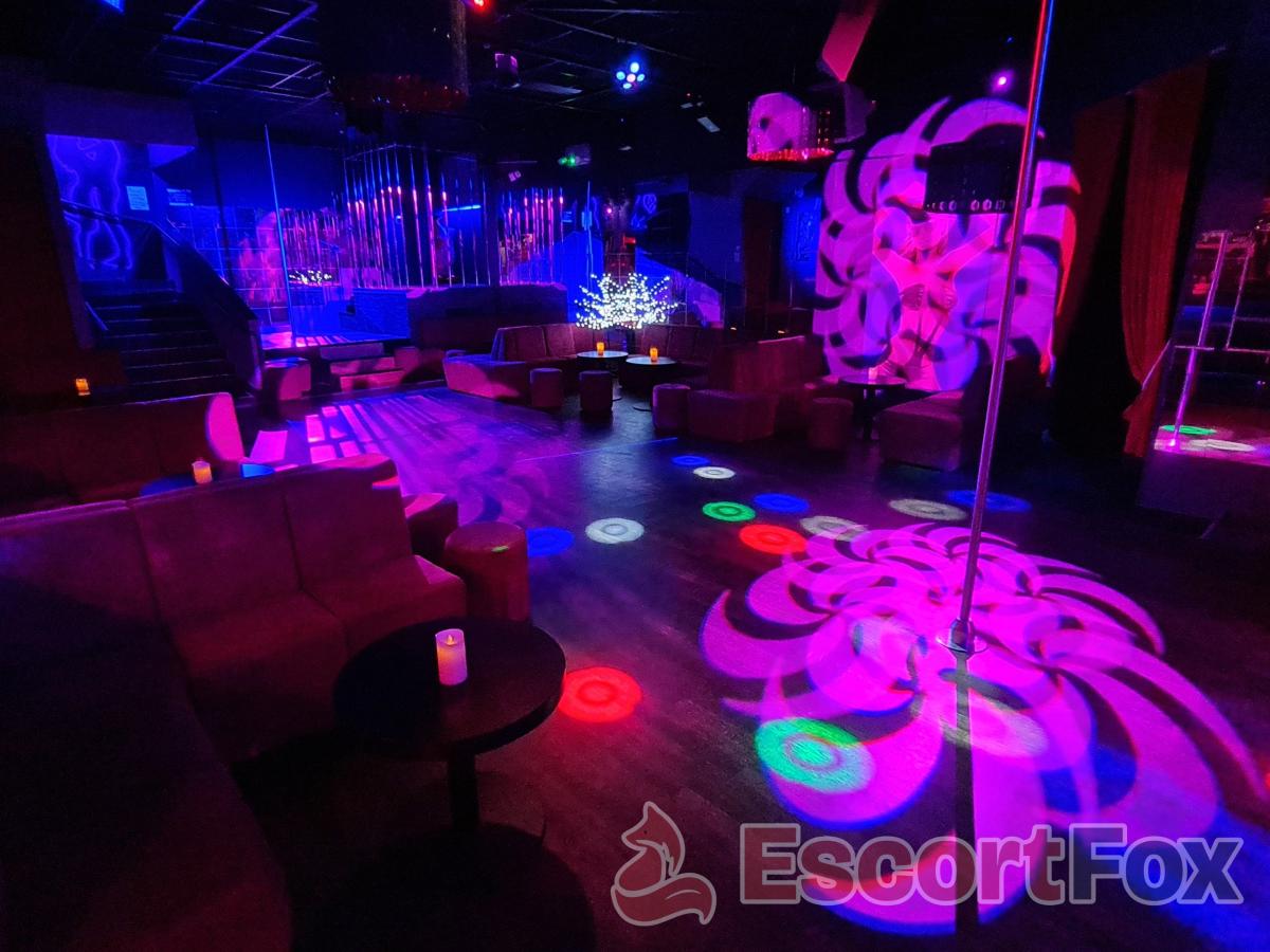 Le Plaisir Club — erotic venue in Bréal-sous-Montfort