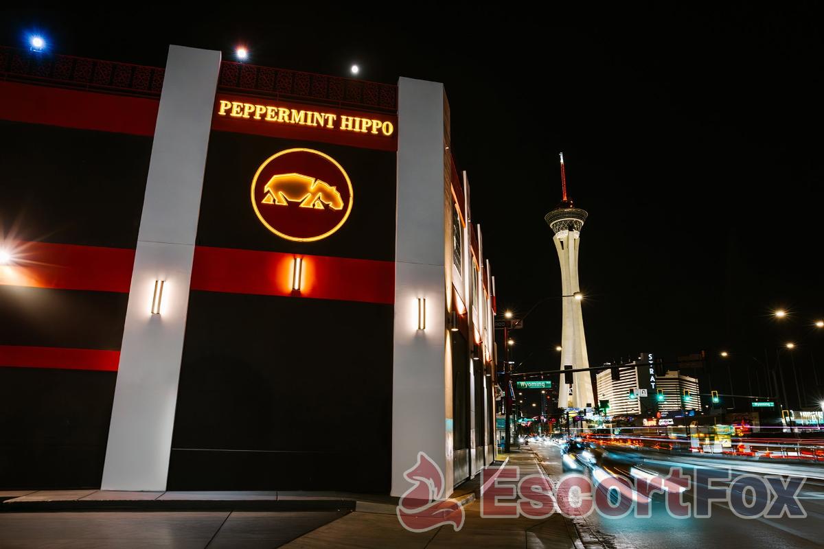 Peppermint Hippo Las Vegas — erotický podnik v Las Vegas