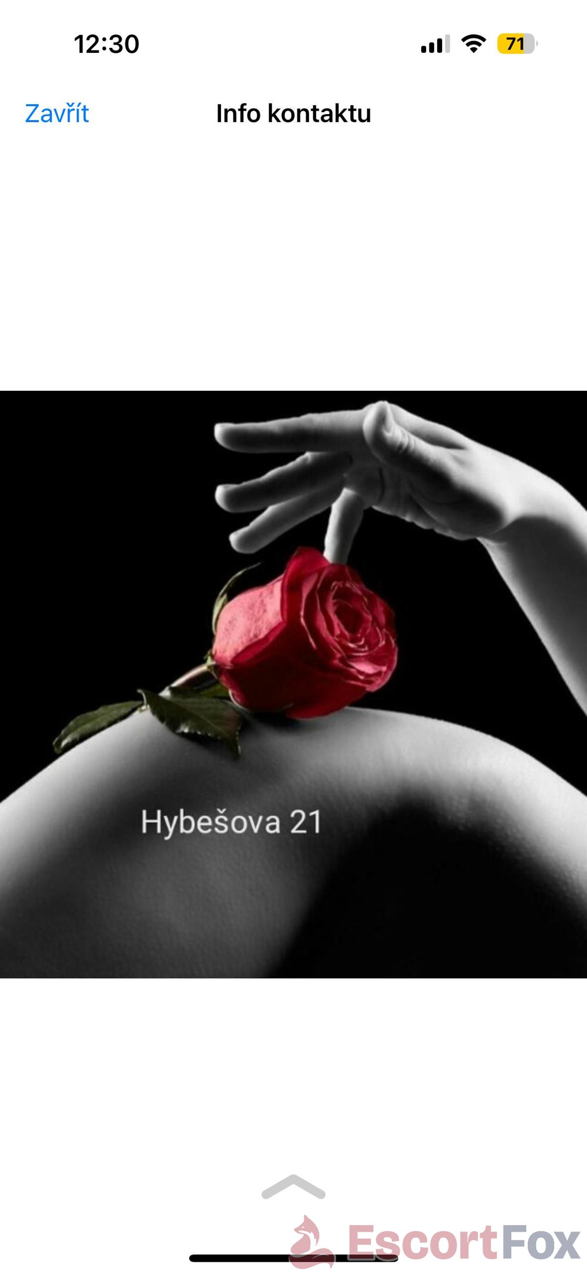 Privát Malá růže — erotic venue in Brno