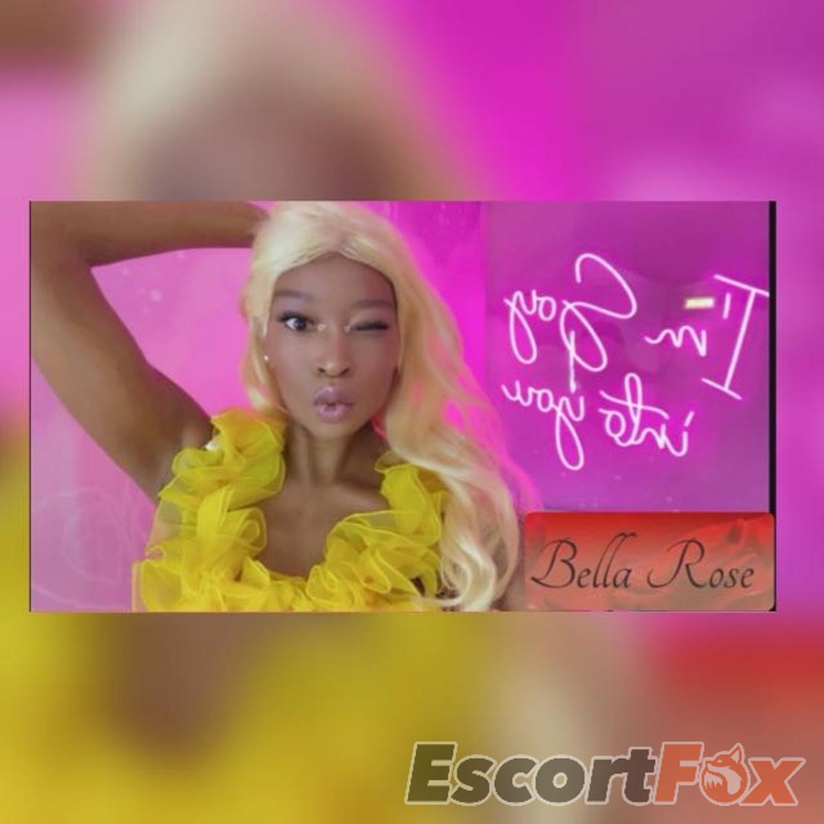 Bella Rose — ескорт у місті Гасселт