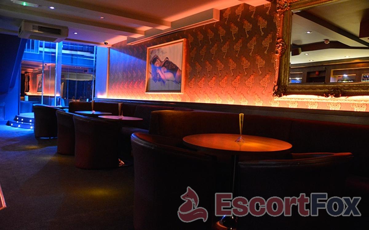 Urban Tiger — erotic venue in Bristol