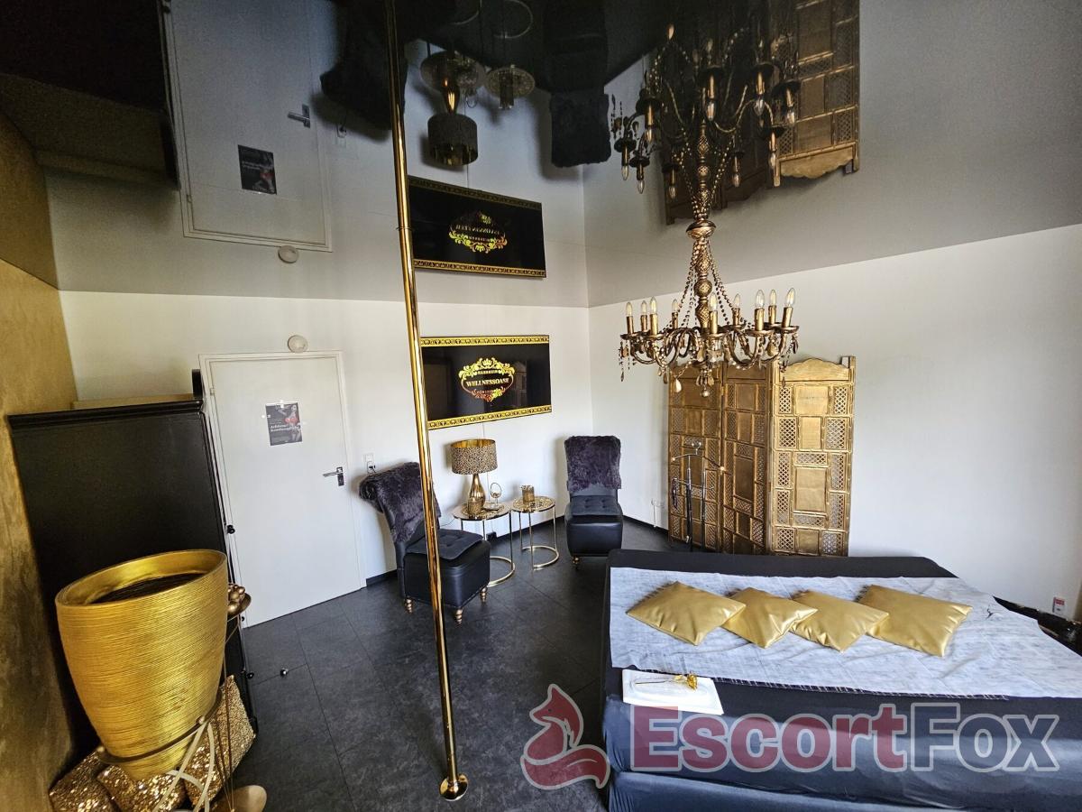 Wellness Oase — lokal erotyczny w Mannheim