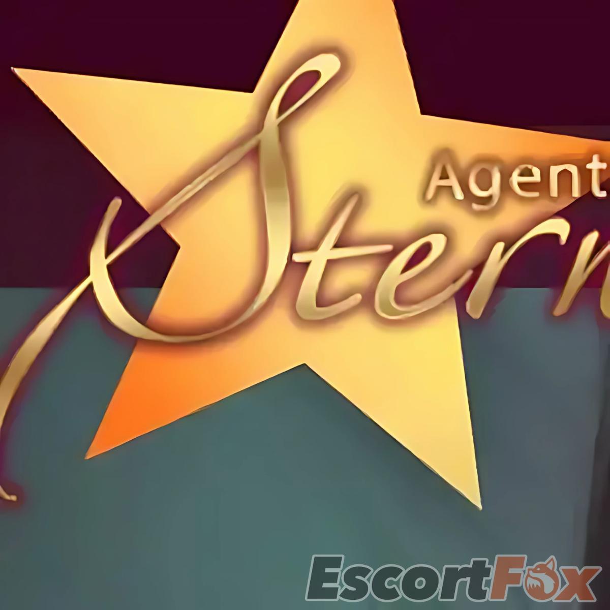 Agentur Stern — эротическое заведение в городе Ганновер