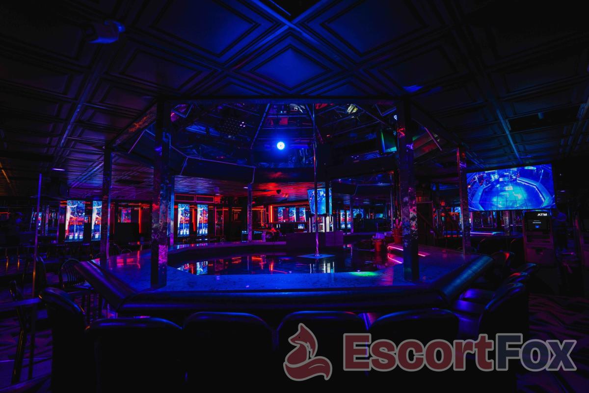 Mons Venus — erotický podnik v meste Tampa