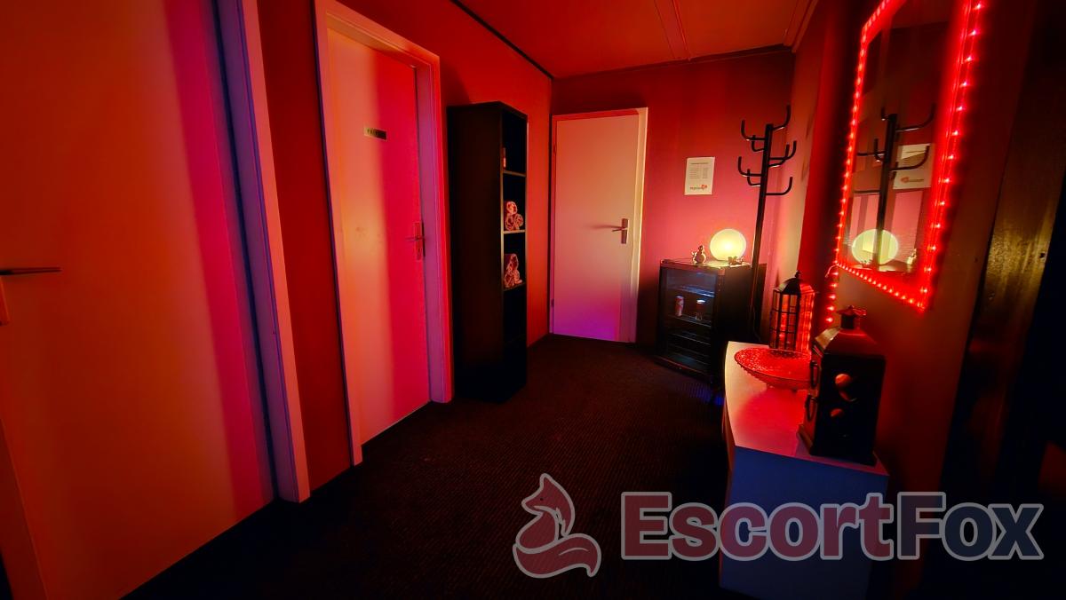 Maison6 Erlinsbach — erotický podnik v Aarau
