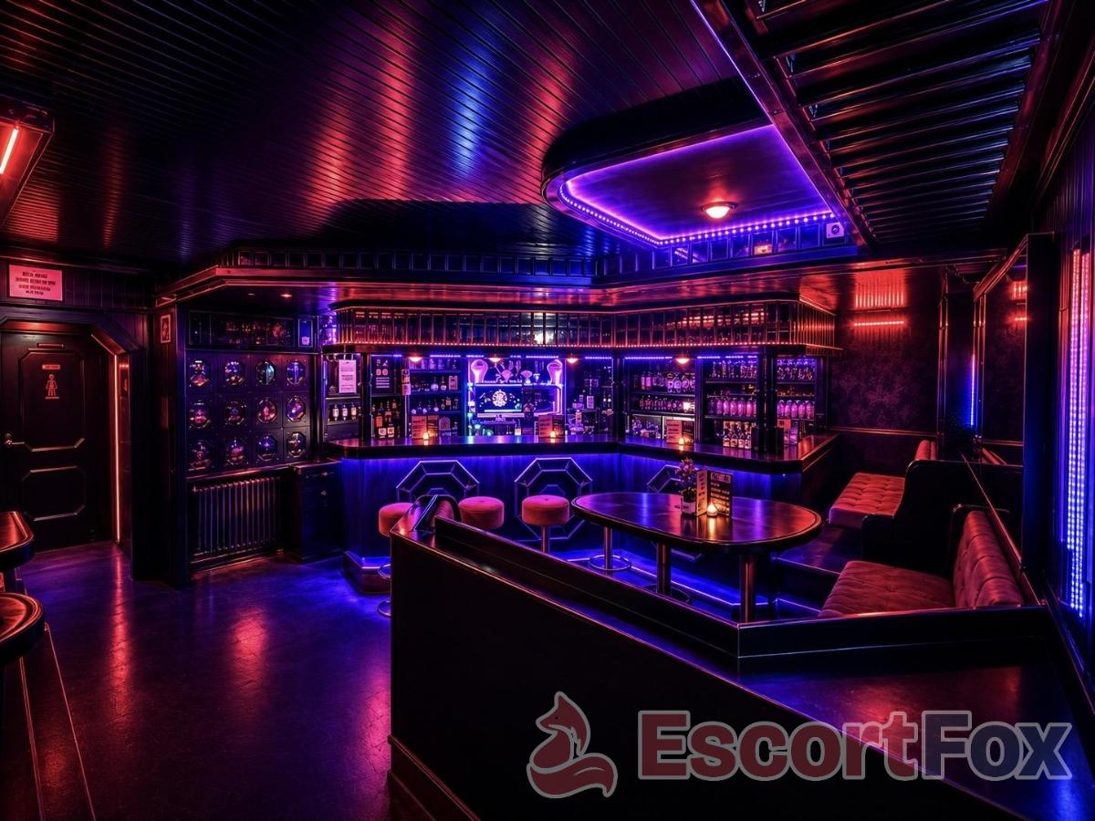 Herzl Bar — erotic venue in Leonding