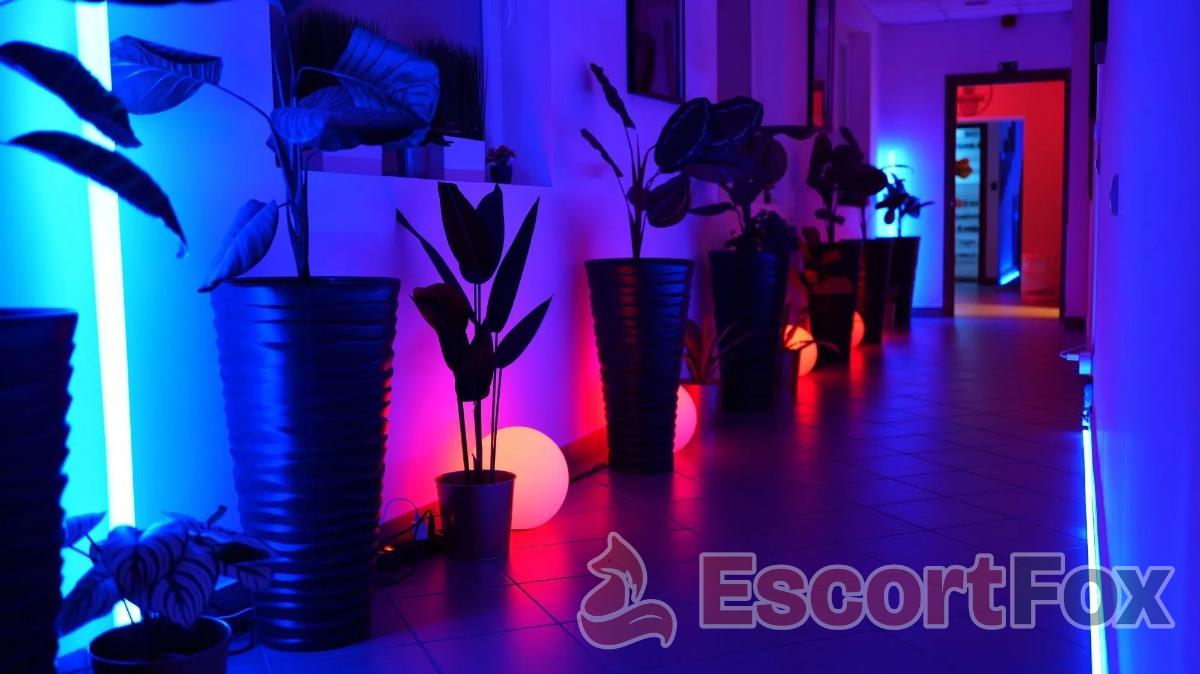 Labirintus Swingerklub — erotic venue in Budapest