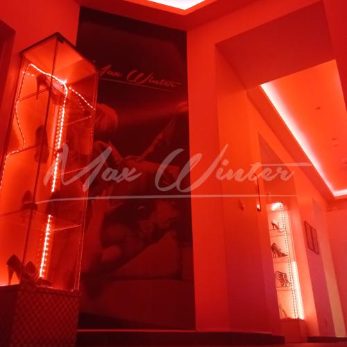 Laufhaus Max Winter — erotic venue in Vienna, photo 4