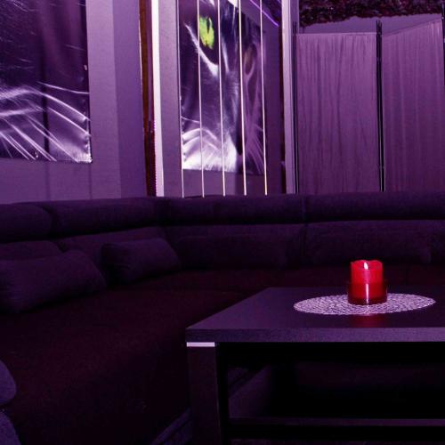 Cats 2.0 — Erotik-Location in München
