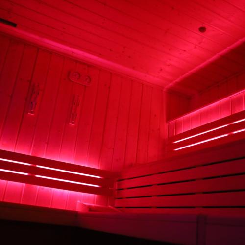Le Lotus — locale erotico a Reims