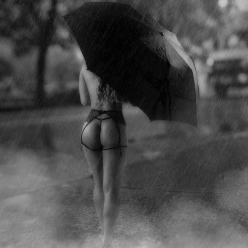 Eva Loren Luv — escort in Seattle