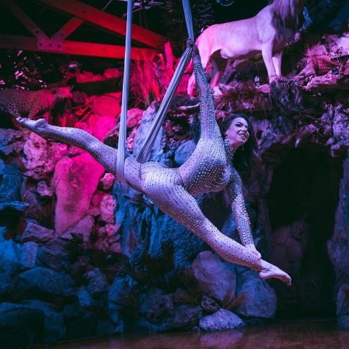 The Lodge — erotic venue in Dallas, photo 8