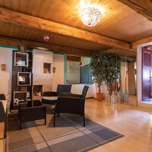 Studio Seetal — erotisk utested i Lenzburg, bilde 5