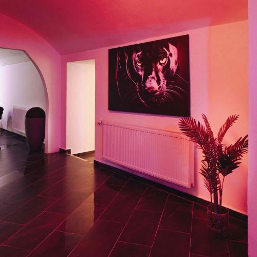 Diamond Strip Club — erotic venue in Košice, photo 8