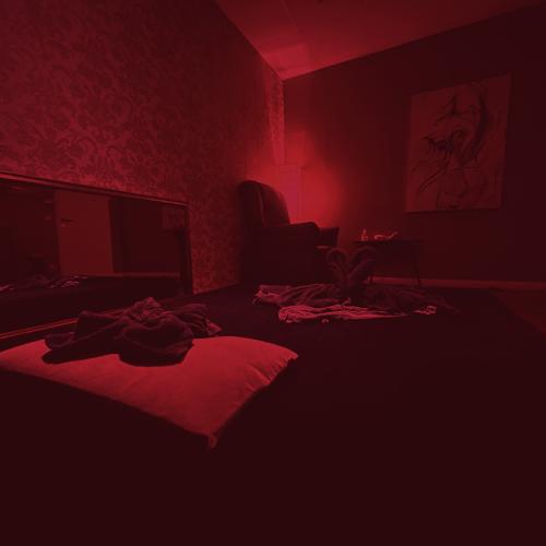 Velvet Massage — erotic venue in Frankfurt, photo 2