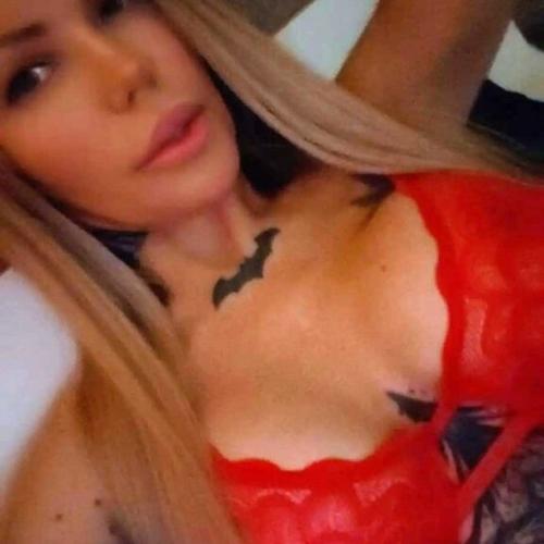 Evi Nové Číslo — مرافقة في لفيس، الصورة 6