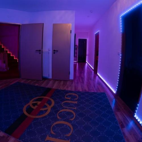 Palais Cataleya — erotic venue in Essen, photo 9