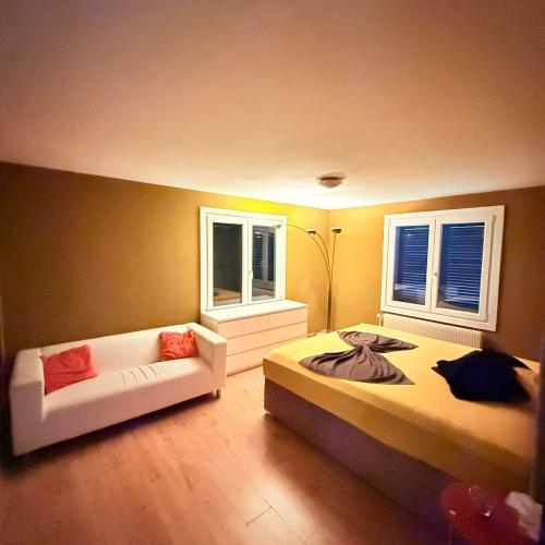 Studio Aare Lust — erotisk utested i Bern, bilde 3