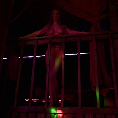 Nirvana Swingers Club — erotic venue in Prague