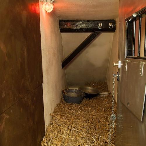 Das Domizil Der Gräfin — Erotik-Location in Düsseldorf