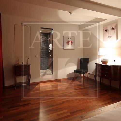 Arte 42 — local erotic în Zürich, fotografia 3
