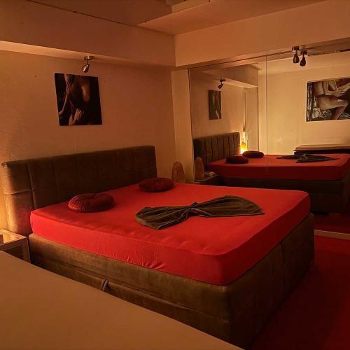 Red Carpet — erotic venue in Basel, photo 5