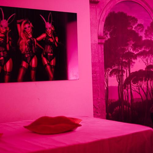 New Paradise — erotic venue in Crissier