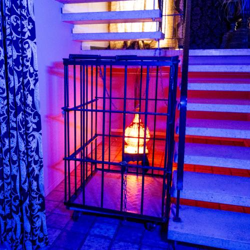 Heaven & Hell — Erotik-Location in Karlsruhe, Foto 11