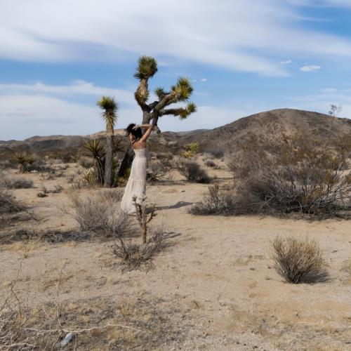Nevada — escort à Phoenix