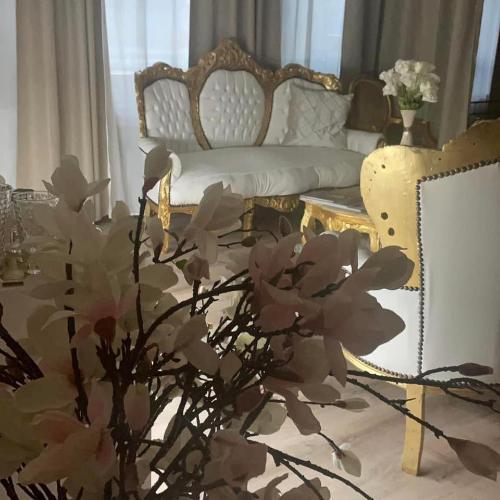 Blue Velvet Studio — locale erotico a Zurigo